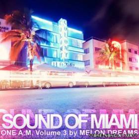 Альбом Sound Of Miami: One A.M. Volume 3 (2012)